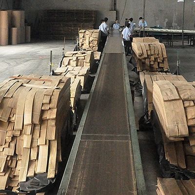 Massivhout Amerikaanse Elm Sheets Grade A voor Quarter Cut Crown Grain Natuurlijke kleur voor deurgevel 3200mm Up