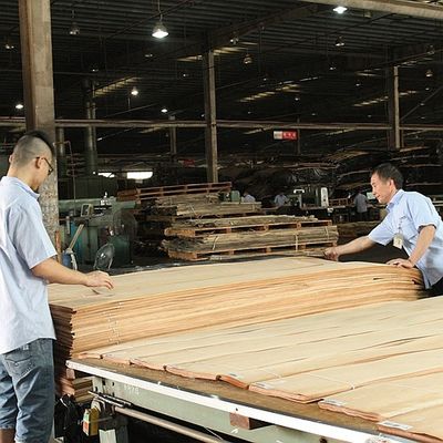 Massivhout Amerikaanse Elm Sheets Grade A voor Quarter Cut Crown Grain Natuurlijke kleur voor deurgevel 3200mm Up