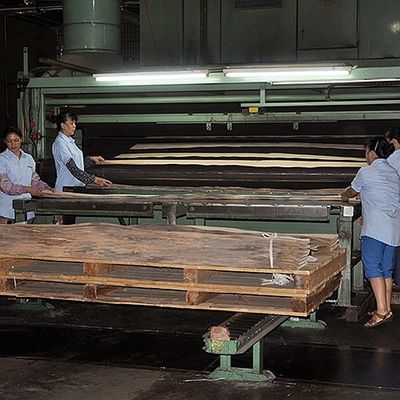 De dubbele Kroon van de het Vernisje Vlakke Besnoeiing van de Kleuren Amerikaanse Natuurlijke Populier Houten voor Buitensporig Triplex