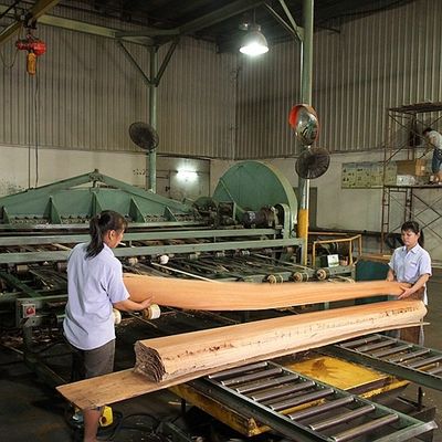 Dikte 0.55mm van hotel Natuurlijke Witte Ash Veneer Wood Burl Grain Goede Prijs voor voor de Groothandel van China van de Hoteldecoratie