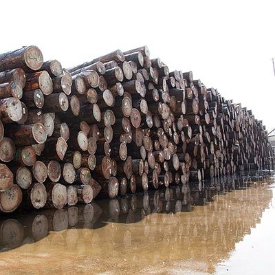 Het natuurlijke Houten het Vernisjekwart van Koto sneed Speciale Rechte Goede de Leveringscapaciteit van de Parelkorrel voor het Verven van Proces