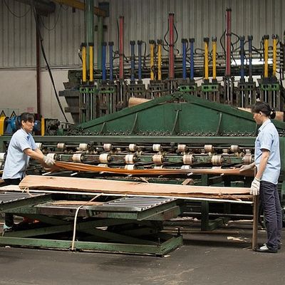 Het kwart sneed Onregelmatige Rechte Voorgestelde Prima Vera Veneer For Doors And-Vensters