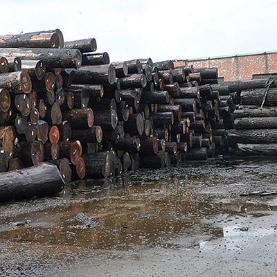 Meubilair dat van het Vernisje Uitstekende Burl Grain For High Class van de decoratie het Natuurlijke Okkernoot Houten FSC China Fabrikant maakt