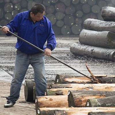 Sneed het Natuurlijke Koto Houten het Vernisjekwart van Afrika Rechte Korrel Goede Kwaliteit want het Verven van Proces kan worden aangepast