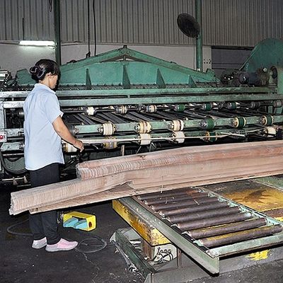 Het kwart sneed Onregelmatige Rechte Voorgestelde Prima Vera Veneer For Doors And-Vensters