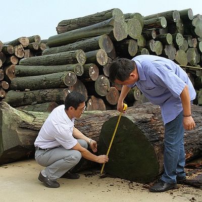 Het natuurlijke Houten het Vernisjekwart van Koto sneed Speciale Rechte Goede de Leveringscapaciteit van de Parelkorrel voor het Verven van Proces