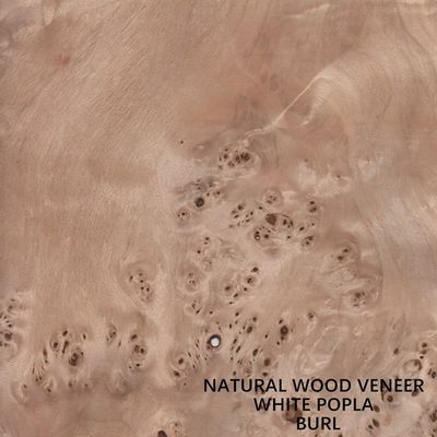 Natuurlijk de Populier Houten Vernisje Mapa Burl Grain High Quality Thickness 0.5mm van Europa voor Muzikaal Instrument
