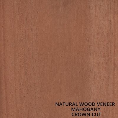 Meubilair en Muziek van de het Vernisje Vlakke Besnoeiing van het Instrumenten Natuurlijke Mahonie Houten de Kroonbesnoeiing