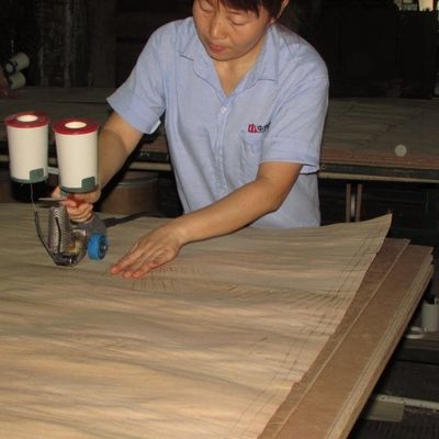 De onder ogen gezien Natuurlijke Sycomoor stelde Buitensporige Mdf van het Kwart Houten Vernisje/Spaanplaat 5/9/12/15/18mm Dikte voor voor Meubilair