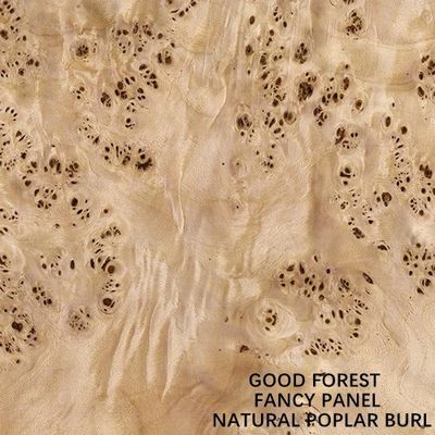 Het buitensporige Comité zag Natuurlijke Witte Decoratie 2440/2745mm van Populierburl wood veneer for hotel de Verlengde onder ogen Levering van Groottechina