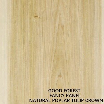 Kroon Onder ogen gezien Populier/Tulip Wood Veneer Fancy Chipboard 9 12 15 18 25 30mm 2440x1220mm