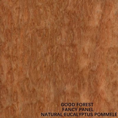 Speciale Eucalyptus Fancy Multiplex Board Pommele Grain 2745 mm lengtemaat voor hoteldecoratie