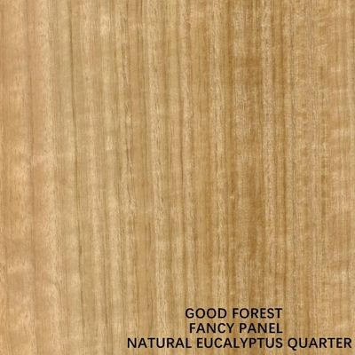Normale buitensporige multiplexplaat voor binnen Decoratief Standaardformaat 2440/2745 mm