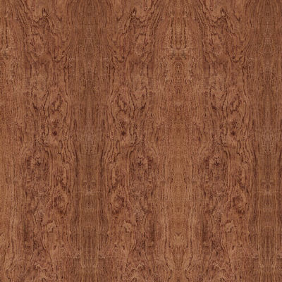Speciale Elm Cluster Fancy multiplexplaat voor hoteldecoratie Verfvrij