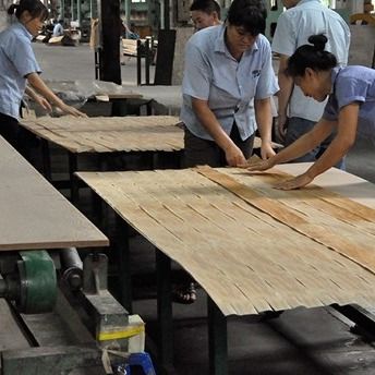 Hoogwaardig gereconstitueerd hout fineer hol vierkant hout HSW-X2# Op maat gemaakte 0,55 mm voor wandpanelen China OEM Factory