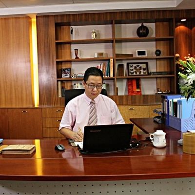 Ingenieur Hout Veneer van Bruine Pearl X6003 Nieuw Ontwerp 2500 * 640mm Standaard Grootte Voor Meubel Gezicht Veneer Plaat