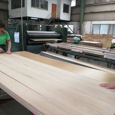 Op maat gemaakte service Ingenieurswerk houten fineer verlengde grootte 3100 mm