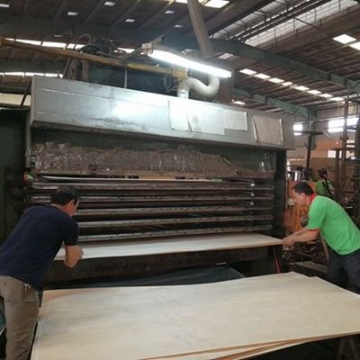 Hoogwaardig geconstrueerd houten fineer grijs LATI GL-X2423 rechte korrels 0,55-1,8 mm voor een fancy multiplexfabriek