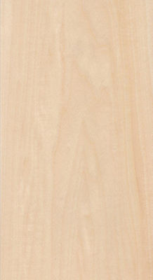 Echte houten fineer Basswood slice gesneden voor grootte 13cm Up Flat cut recht voor kas voor het gezicht