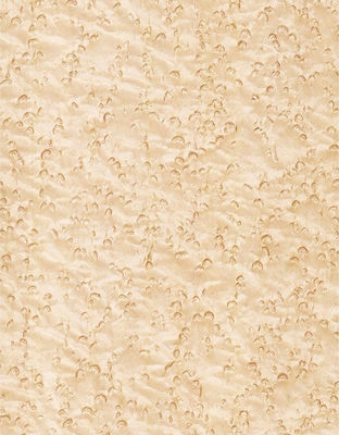 Voeg elegantie toe aan de ruimte Maple veneer panelen Flocculente schaduwen Textuur manifestaties