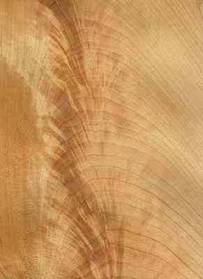 Natural American Cherry Wood Veneer Plaat Slice Flat Cut 2200-3200mm Normale grootte Voor meubelversiering
