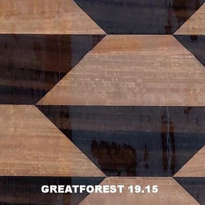 Artistiek Parket Houtfineer Geometrische Esthetische Uitstraling Populaire Geometrische Figuren 0,50 mm Dikte Voor Houten Deur