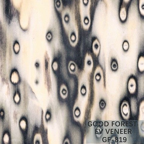 De gebouwde Houten Grootte van Burl Wood Veneer EV 2500*640 mm van de Vernisjeboom
