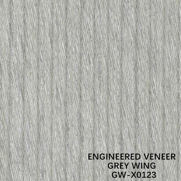 ISO-Decoratie 3100mm Gebouwd Houten Vernisje Ongebruikelijk Wing Exotic Grain Grey Color