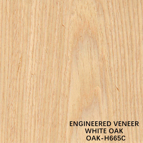 De witte Eiken Vlakke Besnoeiing van H665C stelde Houten Vernisje voor voor Kabinetsgezicht/Muur het Behandelen opnieuw samen