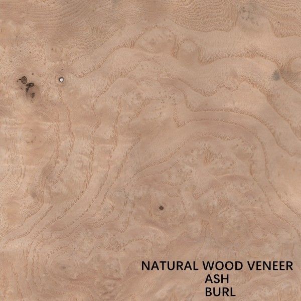 Dikte 0.55mm van hotel Natuurlijke Witte Ash Veneer Wood Burl Grain Goede Prijs voor voor de Groothandel van China van de Hoteldecoratie