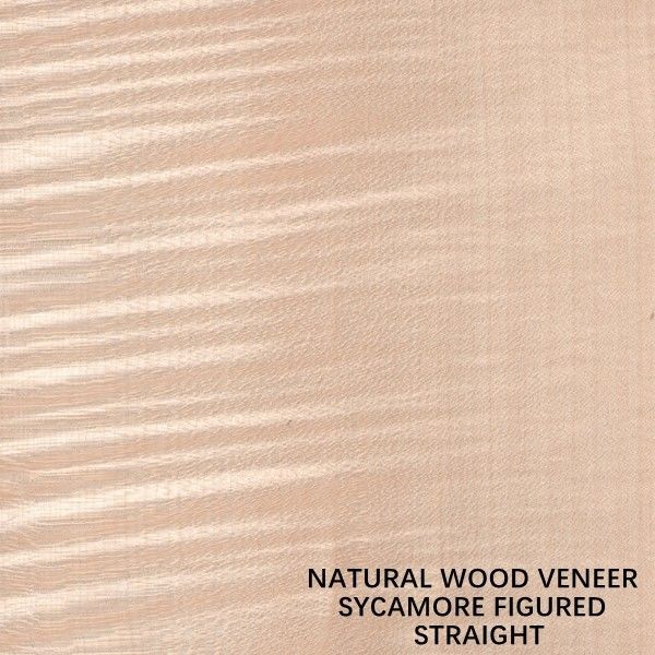 Kwart van het de Sycomoor Houten Vernisje van Europa sneed het Natuurlijke Voorgestelde Rechte Korreldikte 0.5mm voor het Sterven en Kabinet