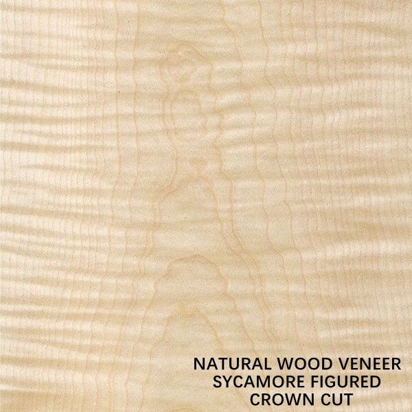 Van het de Sycomoor Houten Vernisje van Europa Natuurlijke Voorgestelde van de de Besnoeiingskroon Vlakke de Besnoeiingsdikte 0.5mm voor het Sterven en Kabinet