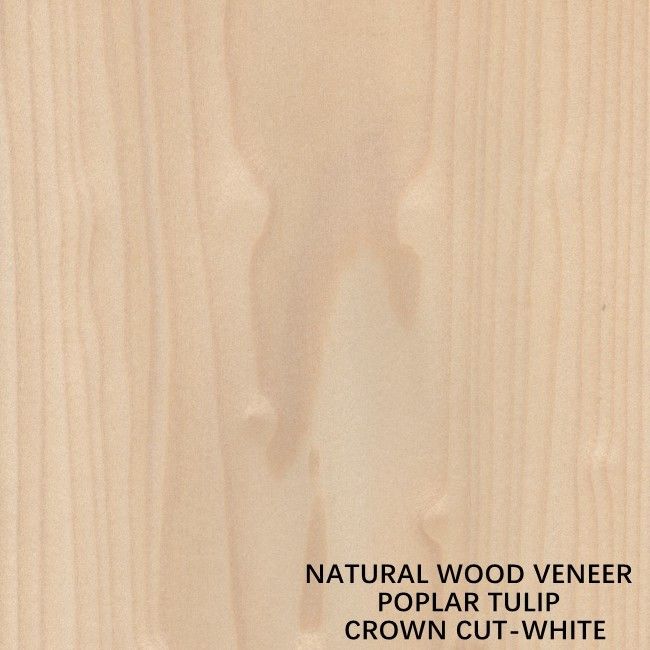 Tulip American Natural Poplar Wood-de Kroonwit van de Vernisje Vlak Besnoeiing voor Deuren