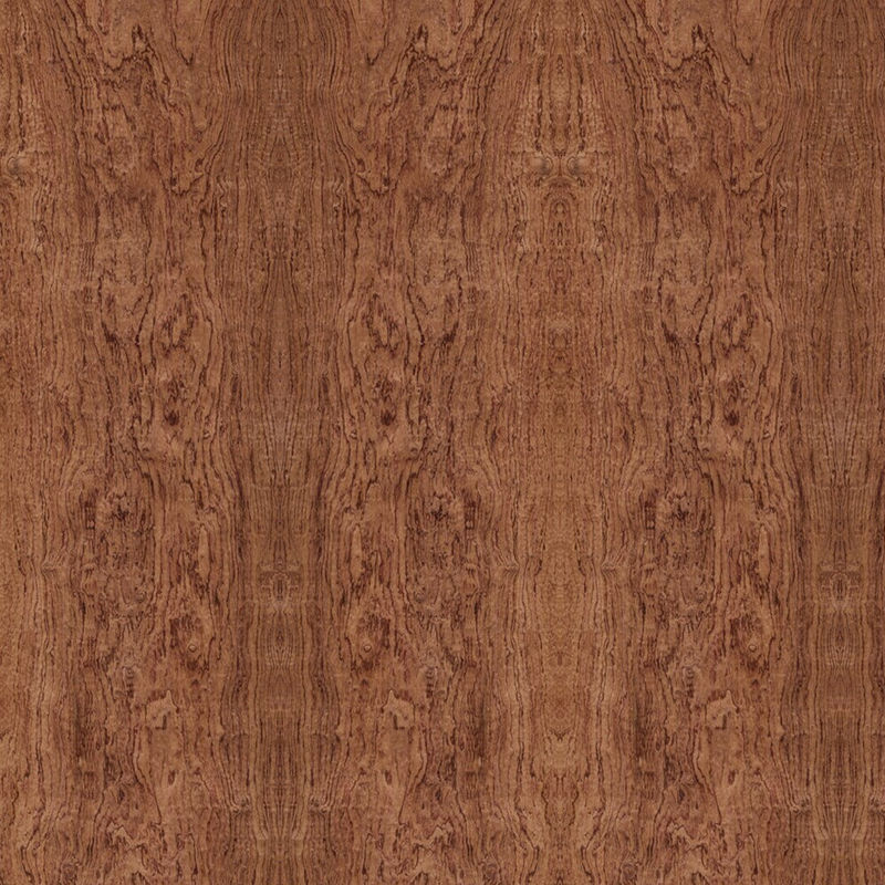 Speciale Elm Cluster Fancy multiplexplaat voor hoteldecoratie Verfvrij
