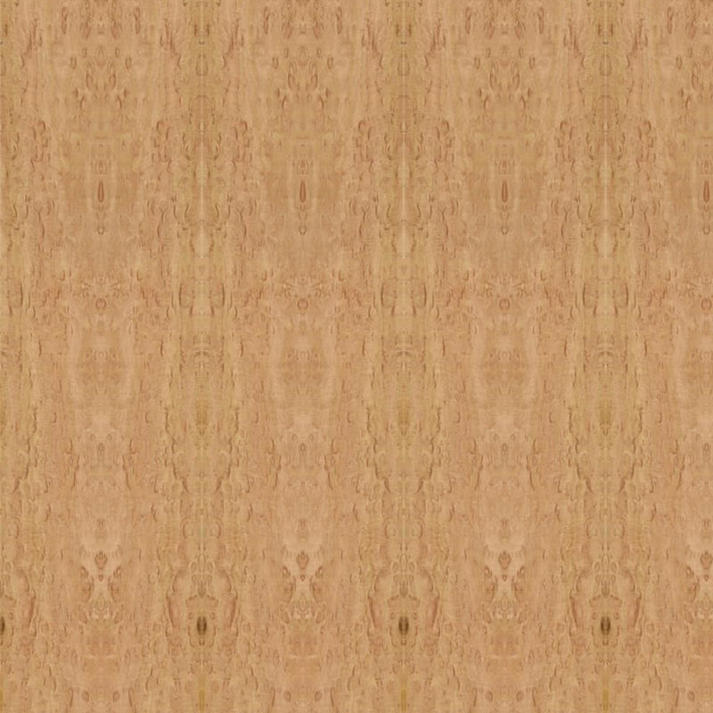 Speciale Eucalyptus Fancy Multiplex Board Pommele Grain 2745 mm lengtemaat voor hoteldecoratie