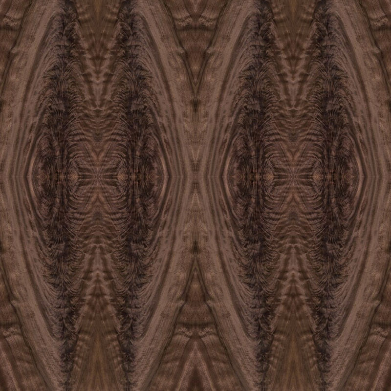 Het Buitensporige Triplex van de hoteldecoratie van Hoogte - Bifurcatie 3050mm van de kwaliteits Natuurlijke Okkernoot de Verlengde Fabrikant van Groottechina