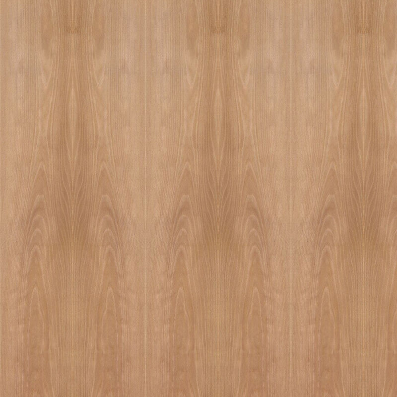 Het buitensporige Natuurlijke Houten Comité van Gestoomde Standaardgrootte 2440*1220mm van de Beukkroon voor Deur en Vensters Goede Prijs China maakt