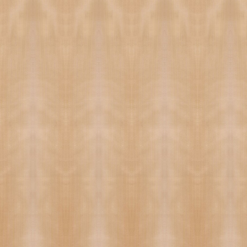 Buitensporig het Kwart Houten Vernisje 3/5/9/12/15/18/25mm van de Triplex Natuurlijk Gestoomd Beuk Dikte voor Kabinet en Vloerfabriek