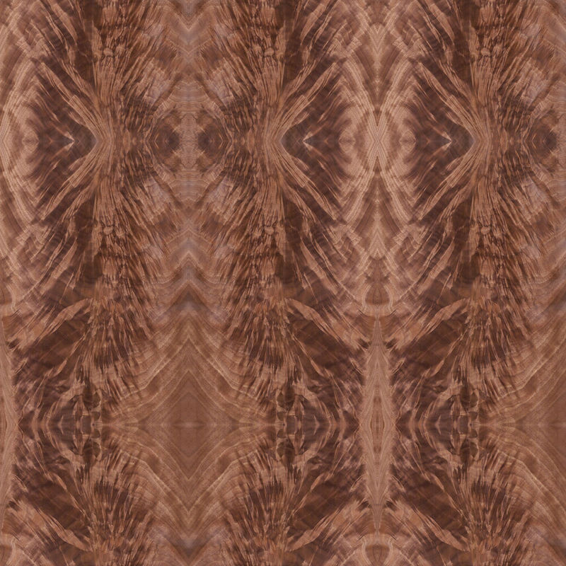 Hotelcomité kan Natuurlijk de Bifurcatie van Okoume Speciaal het Verbinden Houten Vernisje 2745mm Verlengde Grootte de Aangepaste Dienst zijn
