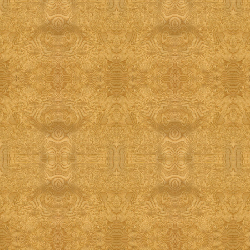 Verlengde Grootte 2745mm Onder ogen gezien Natuurlijke Ash Burl Wood Veneer Paint Free-Comité Hand die voor Hoteldecoratie verbinden