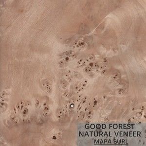 Uitstekende de Bladen van het de Populiervernisje van boomburl wood veneer natural white