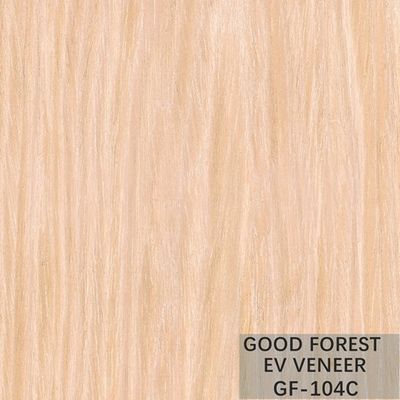 Gebouwde Gewassen Eiken Aangepaste de Bladenkorrel van het Vernisjeev Eiken Vernisje