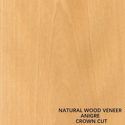 Decoratie Natuurlijke Anigre Hout Veneer Flat Cut Crown Grain 0,18-0,55 mm Dikte
