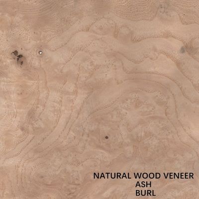 Dikte 0.55mm van hotel Natuurlijke Witte Ash Veneer Wood Burl Grain Goede Prijs voor voor de Groothandel van China van de Hoteldecoratie