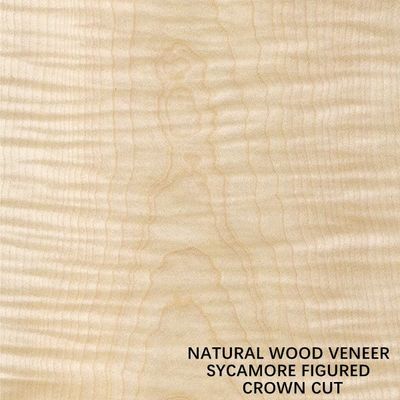 Van het de Sycomoor Houten Vernisje van Europa Natuurlijke Voorgestelde van de de Besnoeiingskroon Vlakke de Besnoeiingsdikte 0.5mm voor het Sterven en Kabinet