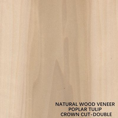 De dubbele Kroon van de het Vernisje Vlakke Besnoeiing van de Kleuren Amerikaanse Natuurlijke Populier Houten voor Buitensporig Triplex