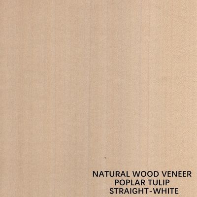 Het rechte Witte Houten Vernisje van de Kleuren Amerikaanse Natuurlijke Populier voor Buitensporige Triplex/Deur