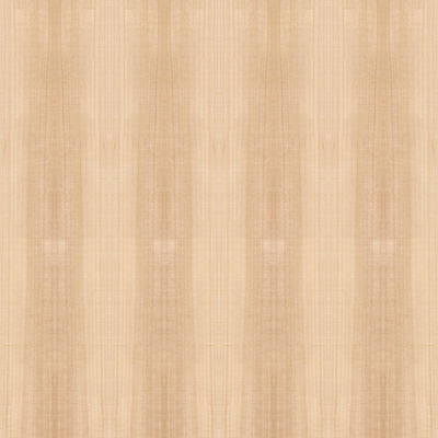 Buitensporige van het Bladanigre van het Triplex Natuurlijke Houten Vernisje Rechte de Korrel verf-Vrije Raad 18mm Dikte voor Meubilair