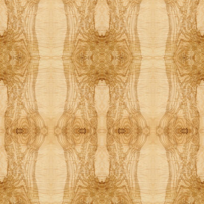 Verlengde Grootte Buitensporig Natuurlijk Ash Burl Oliver Wood Veneer Book Match die voor Hoteldecoratie ISO verbinden