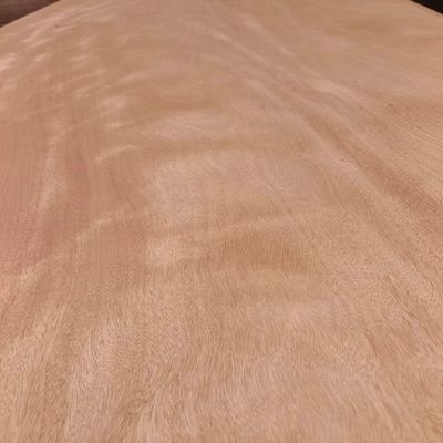 2440*1220 Volledig stuk Gabon Okume houten fineer 0.2mm - 0.4mm Voor Fancy Panels Factory